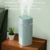 Portable Mist Humidifier; 600ml Small Desk Cool Mini Humidifier With Colorful Night Light; USB Personal Desktop Humidifiers